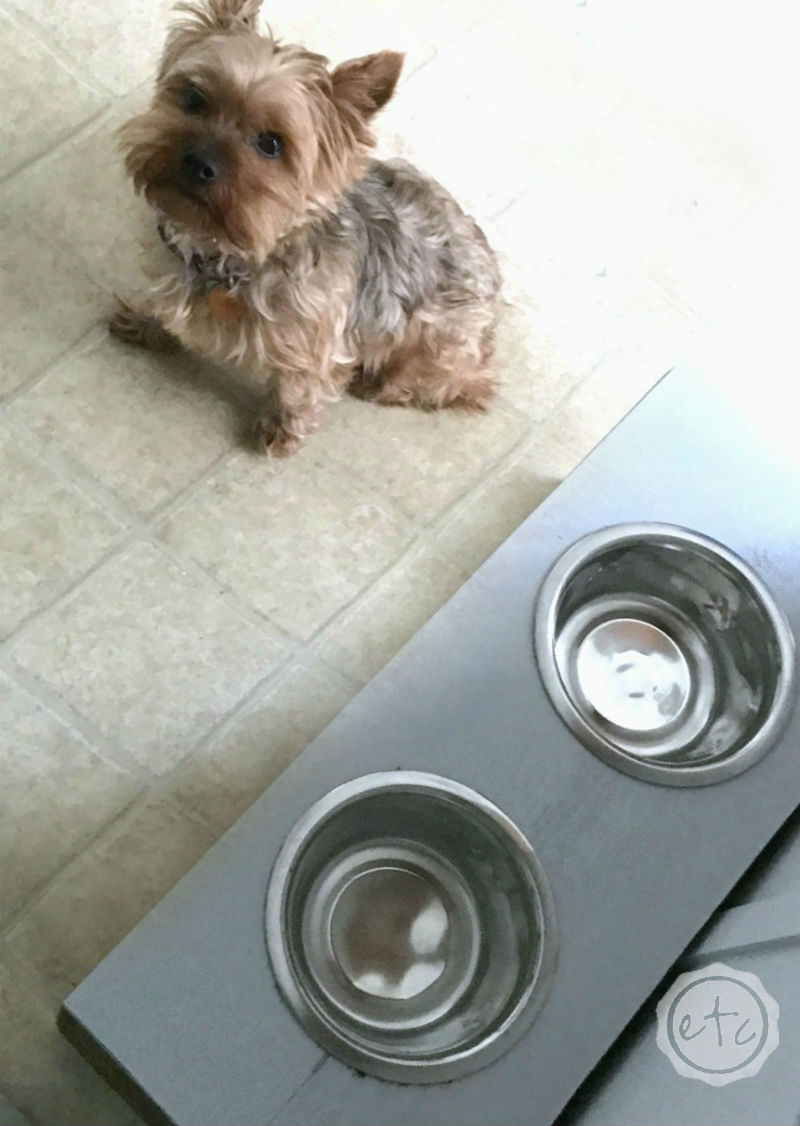 DIY Pet Bowl Stand (with Storage!) using an Antique Box