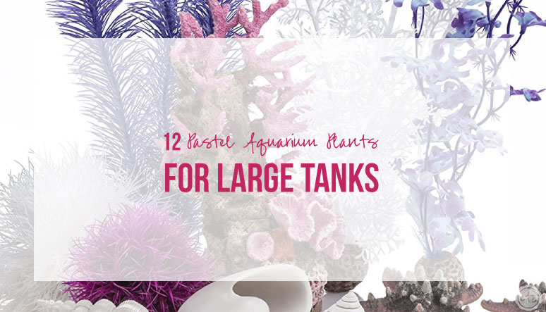 12 Pastel Aquarium Plants for Large Tanks
