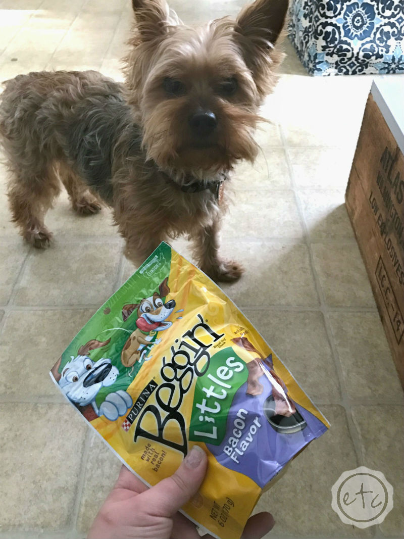 DIY Pet Bowl Stand (with Storage!) using an Antique Box
