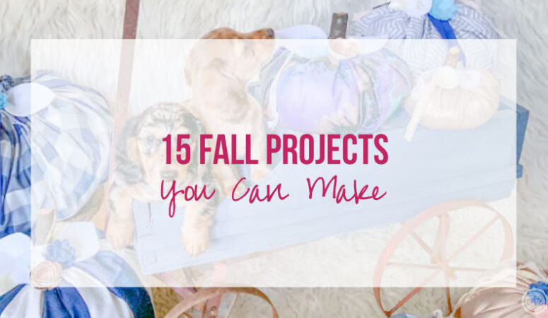 15 Fall Projects YOU Can Make