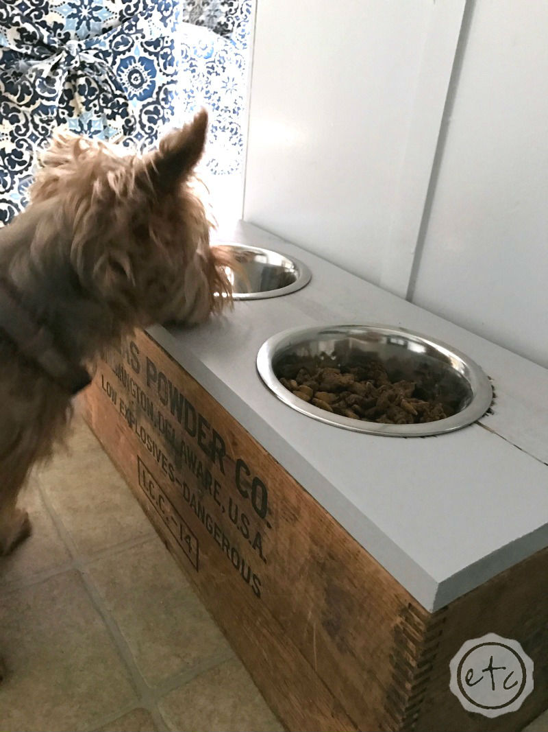 DIY Pet Bowl Stand (with Storage!) using an Antique Box