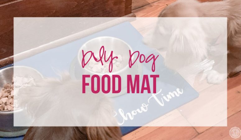 DIY Dog Food Mat