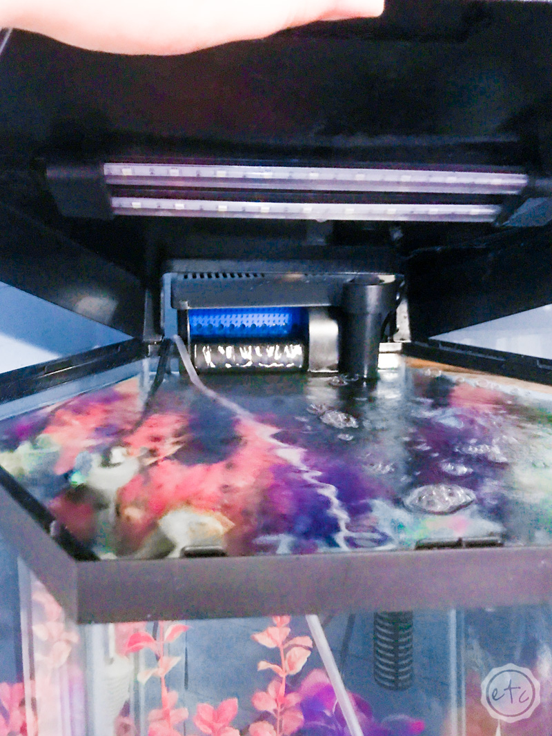 20 Gallon Fish Tank LED Lights for Day and Night