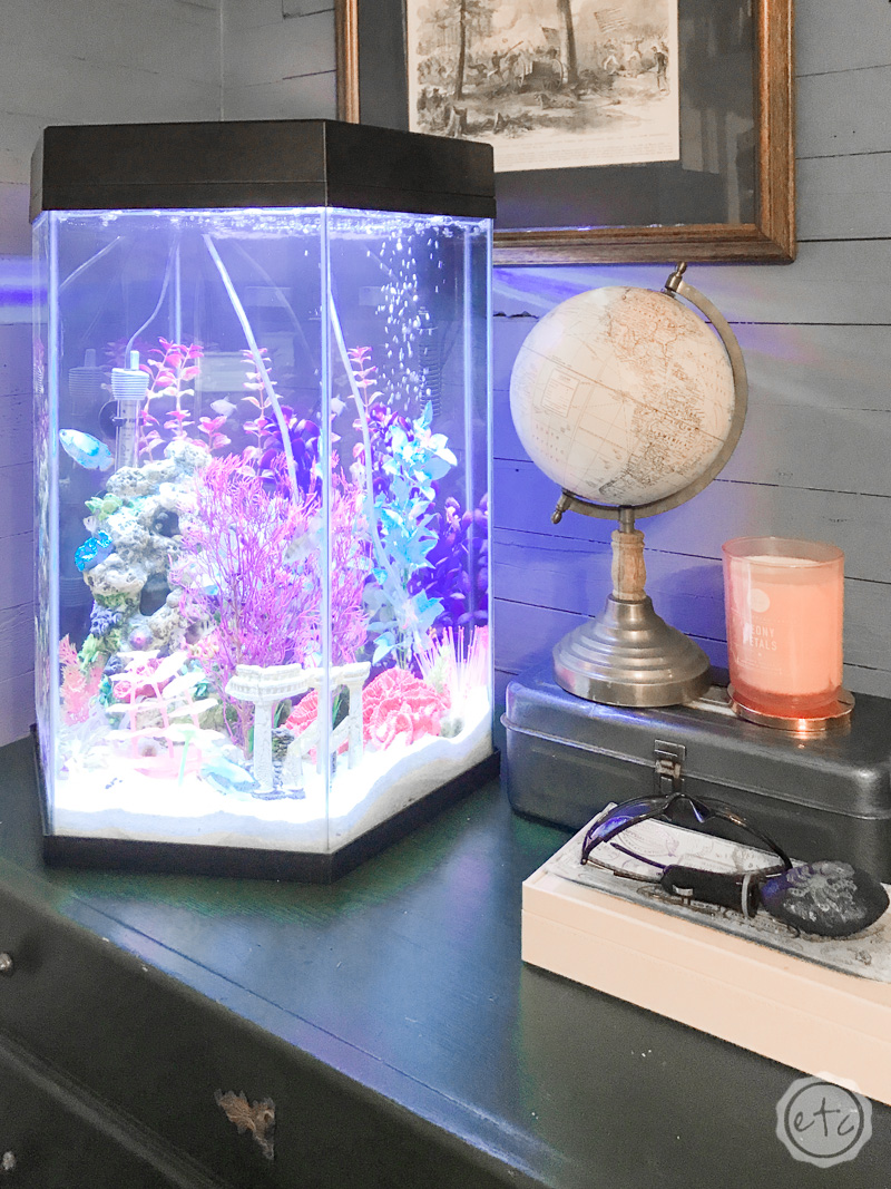 20 Gallon Fish Tank Decorative in Room