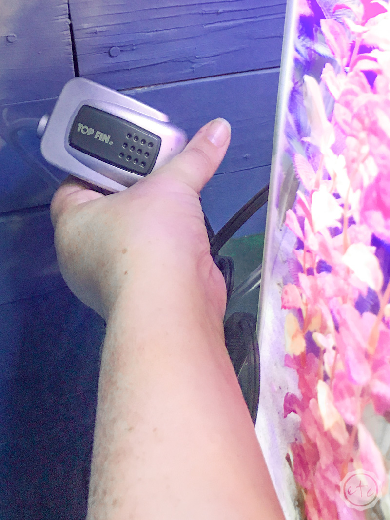 20 Gallon Fish Tank Air Pump to Power Bubbler