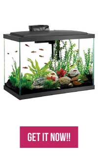 20 Gallon Fish Tank Starter Kit on Amazon, BUY IT NOW