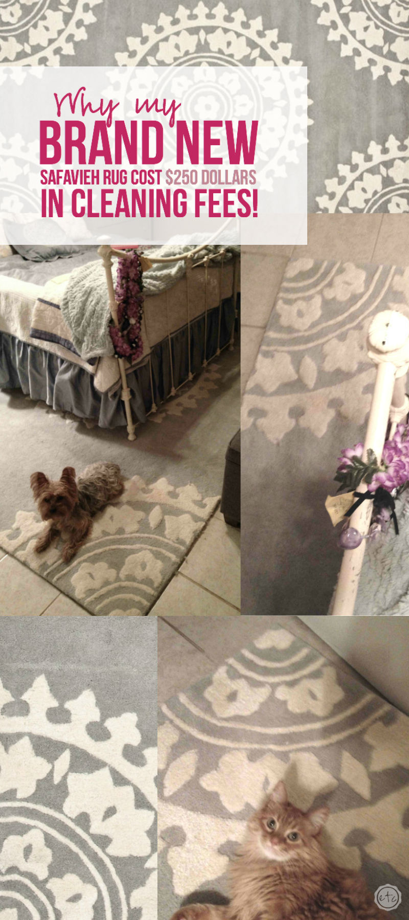 Why my BRAND NEW Safavieh Rug Cost $250 dollars in Cleaning Fees! with Happily Ever After, Etc.
