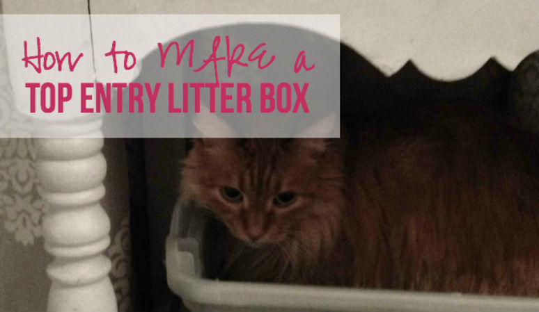 How to MAKE a Top Entry Litter Box