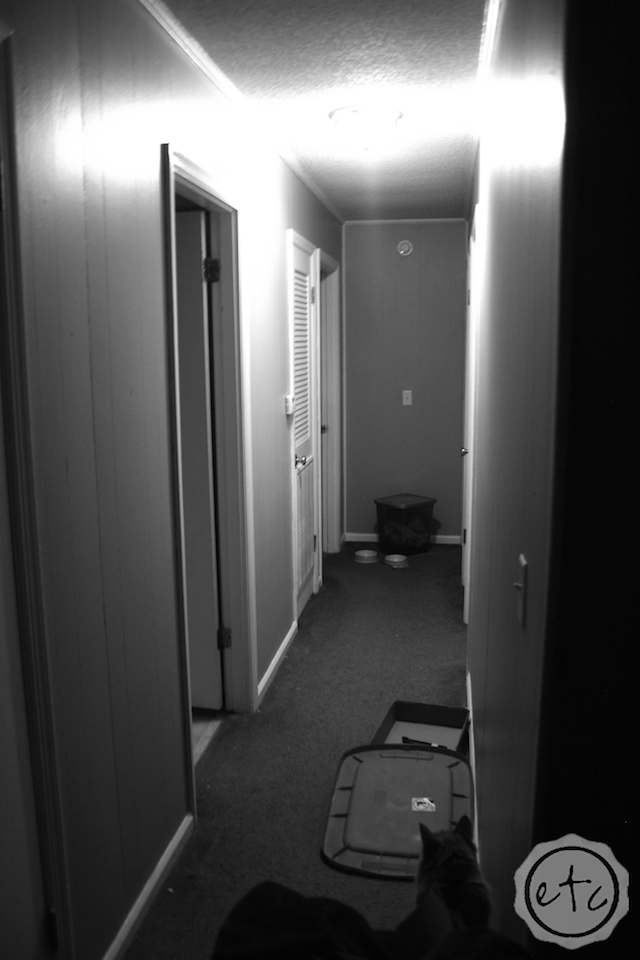 The Messiest House... EVER! Happily Ever After, Etc.